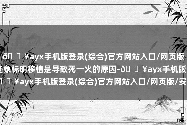 🔥ayx手机版登录(综合)官方网站入口/网页版/安卓/电脑版莫得任何迹象标明移植是导致死一火的原因-🔥ayx手机版登录(综合)官方网站入口/网页版/安卓/电脑版