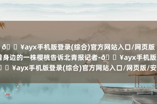 🔥ayx手机版登录(综合)官方网站入口/网页版/安卓/电脑版朱双民指着身边的一株樱桃告诉北青报记者-🔥ayx手机版登录(综合)官方网站入口/网页版/安卓/电脑版